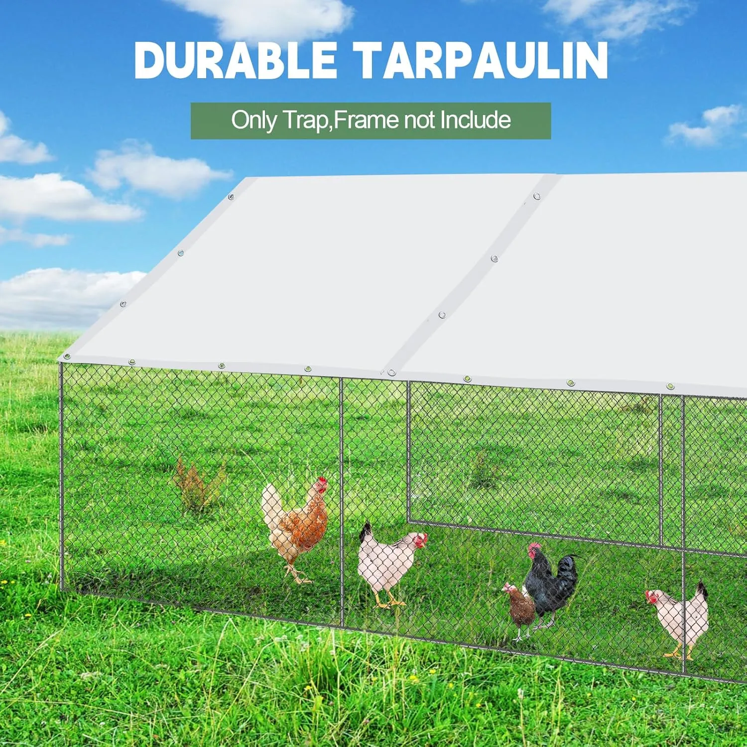 2 Pcs Chicken Coop Cover Waterproof 11.5 x 6.6 ft Chicken Run Cover Coop Tarp Accessories for Winter with 50 Pcs Ball Bungees Cords for Outdoor (White)