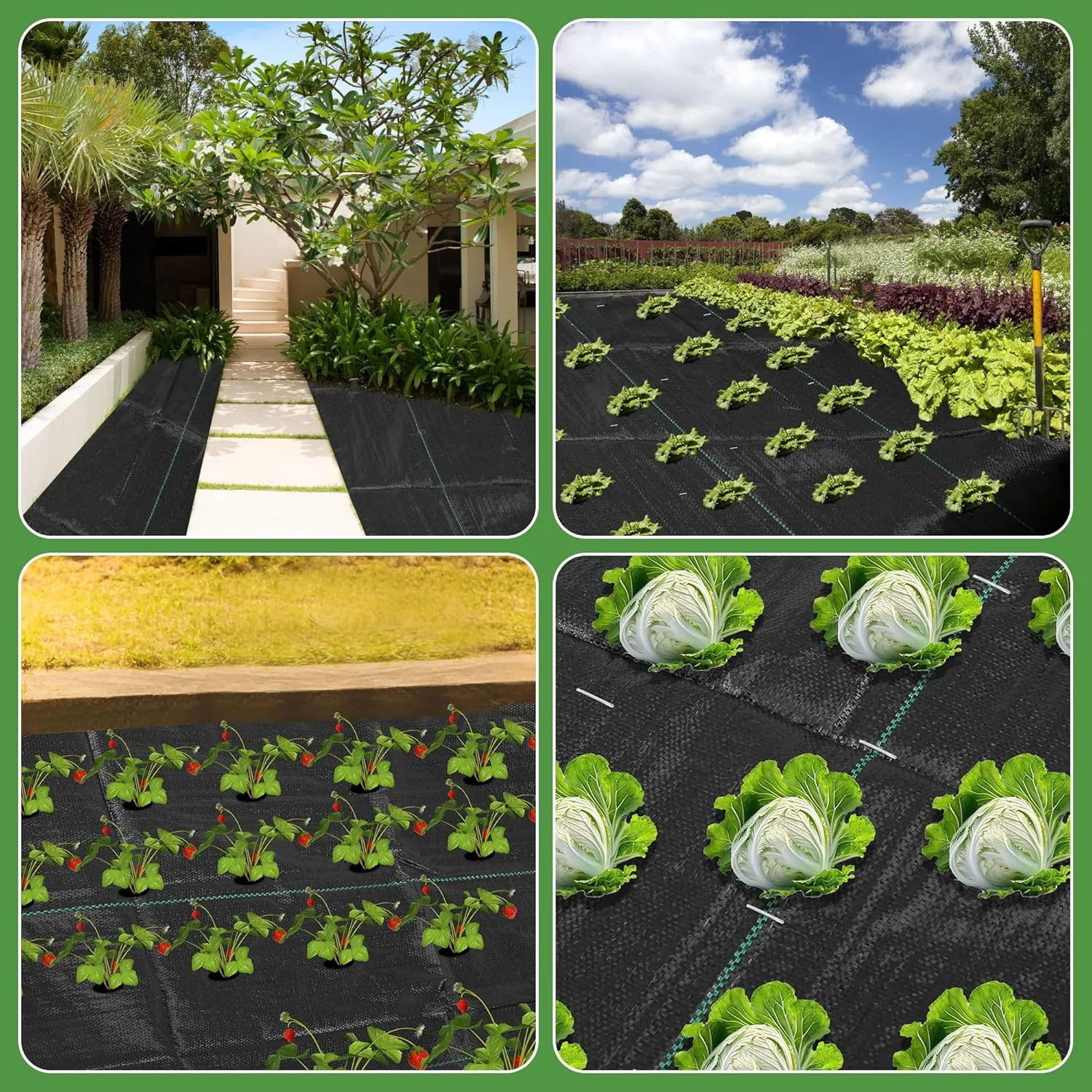 4FT x 100FT Weed Barrier Landscape Fabric Heavy Duty, 3.2oz Premium Gardening Weed Control Mat with 30 U-Shaped Securing Pegs, Ground Cover for Gardening, Farming, Raised Bed（2 Packs 4x50FT）
