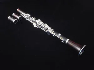 Buffet Crampon R13 Festival Clarinet #2629