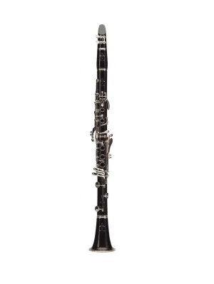 Buffet Crampon R13 Professional Bb Clarinet with Nickel Plated Keys BC1131-5-0