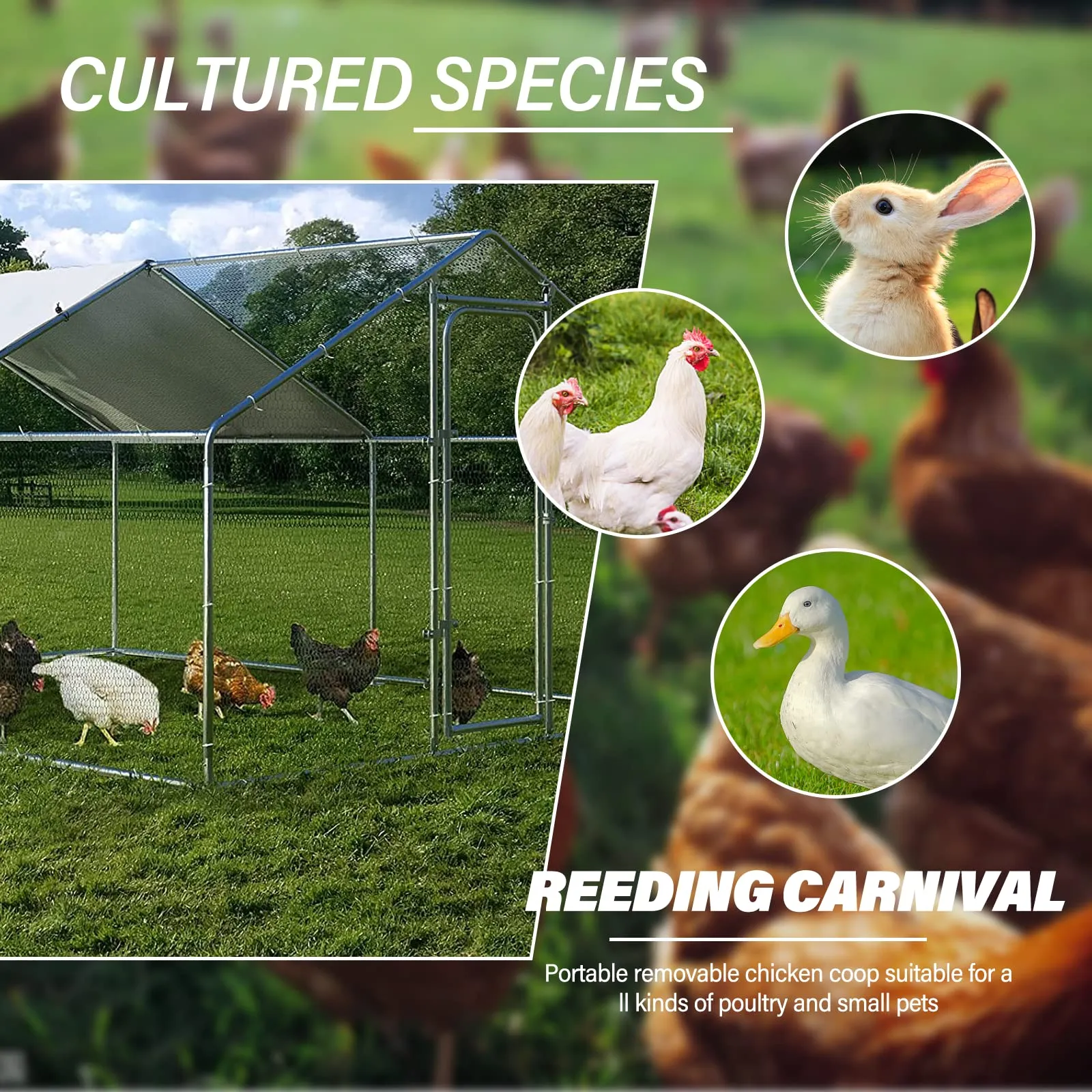 Chicken Coop Large Metal Chicken Run for Yard Chicken Pen/Cage Outdoor Walk-in Chicken House Heavy Duty Poultry Cage with Waterproof and Anti-UV Cover