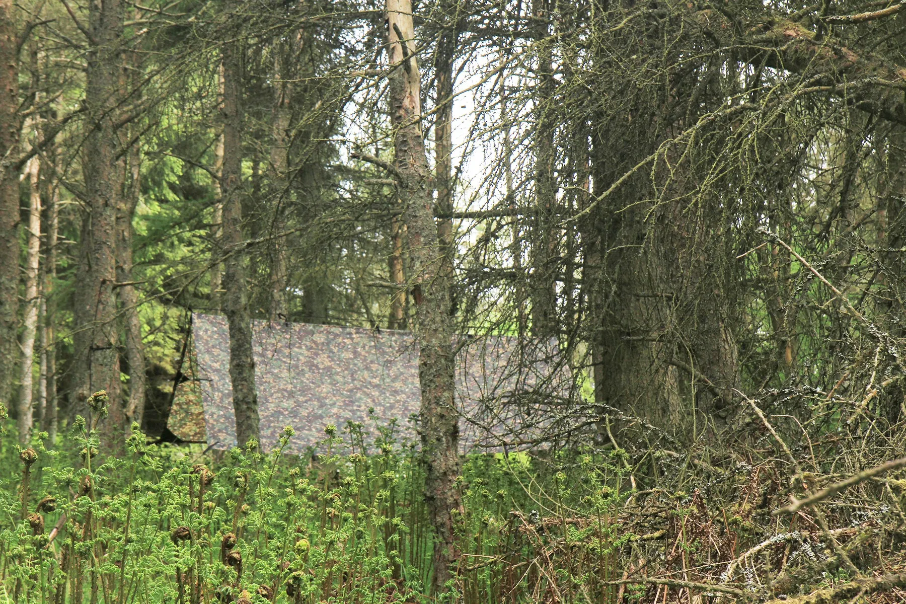 DD Tarp 3x3 - MC