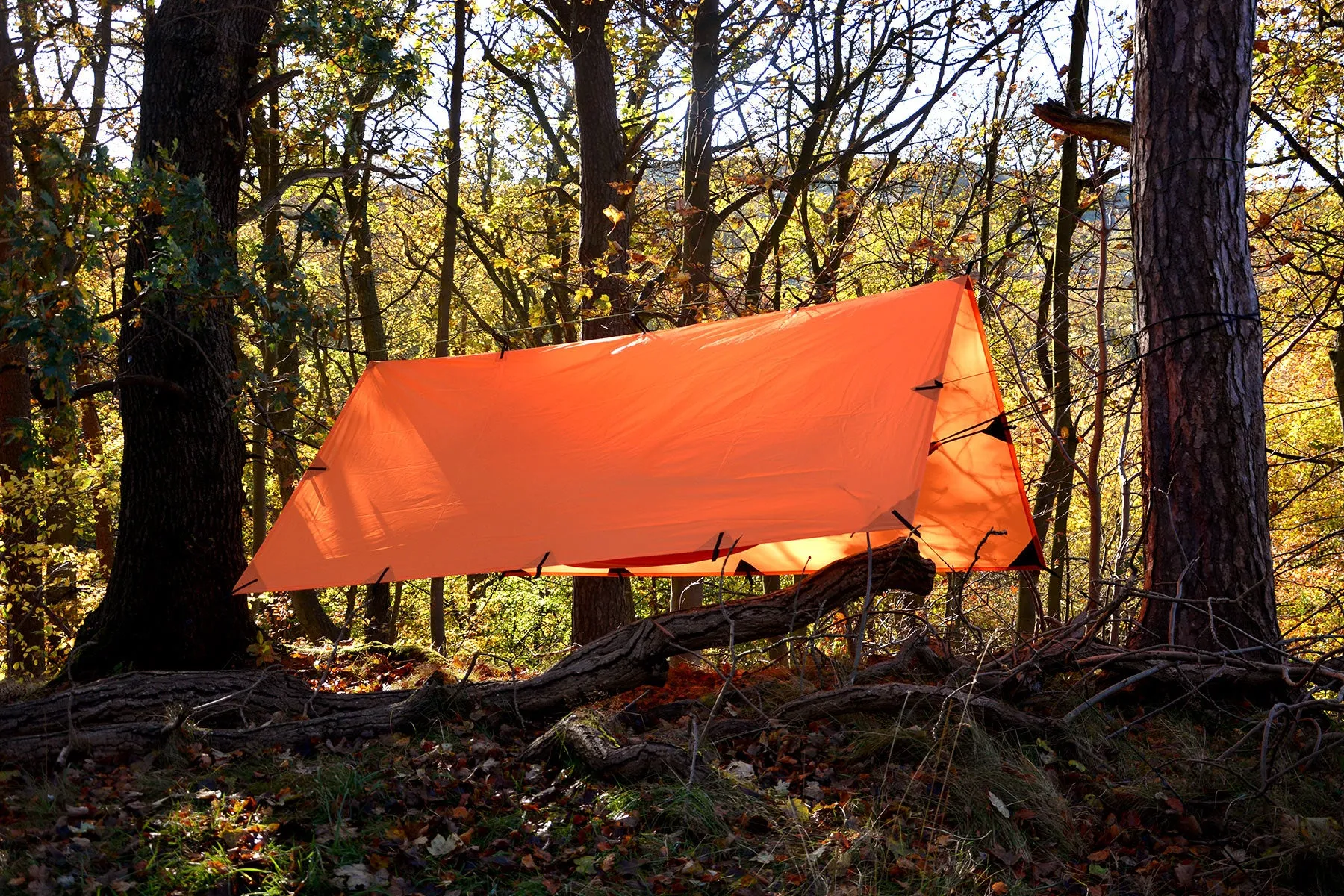 DD Tarp 3x3