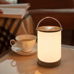 Facon LED Portable Lantern with Touch Dimmable Switch, Rechargeable Battery-Operated Cordless Lamp for Outdoor Camping, Bedside Lamp for Nightstand, Warm White Light