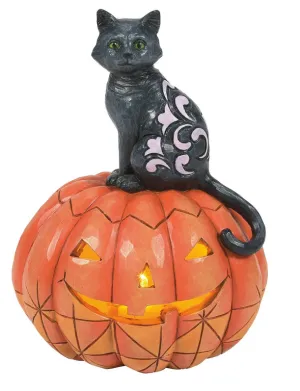 Jim Shore Black Cat on Pumpkin LED Figurine - "Purr-fect Pumpkin"