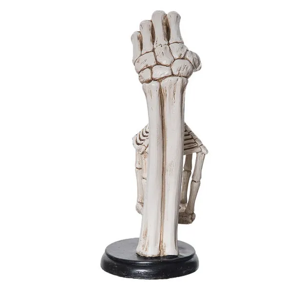 Light Up Skeleton Lantern Decor
