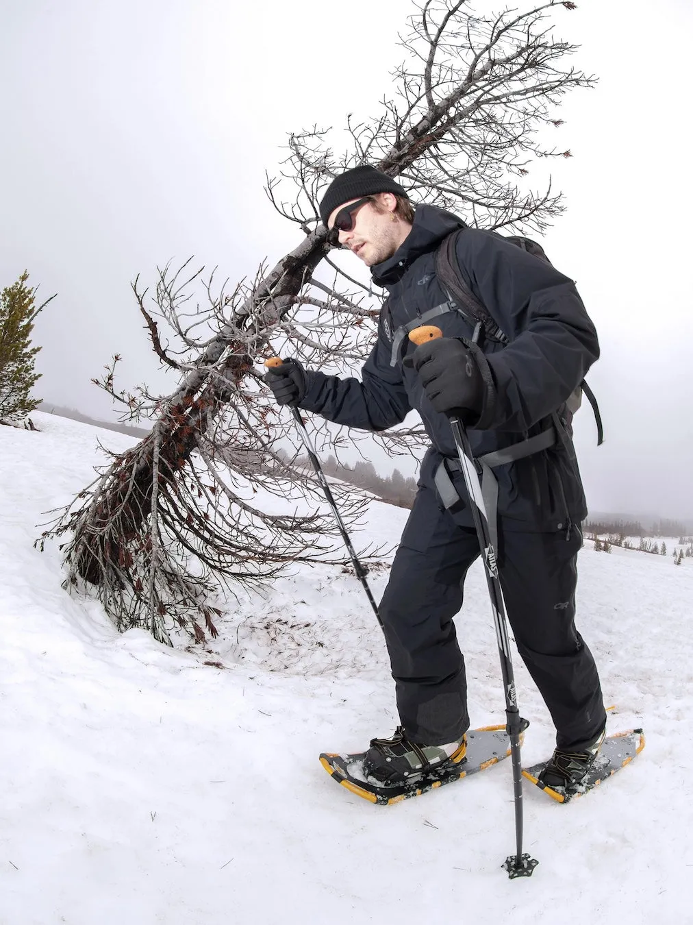 Montane Snowshoes