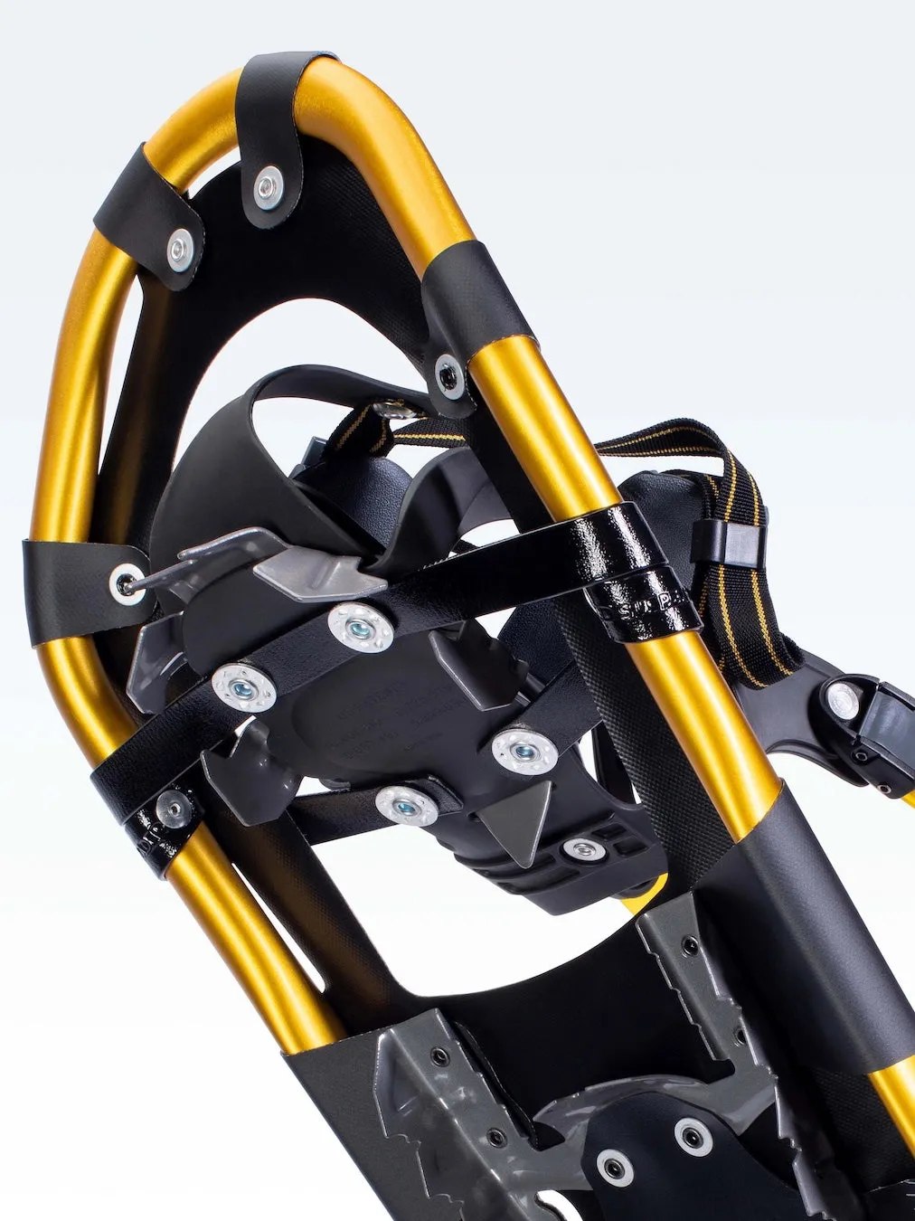 Montane Snowshoes