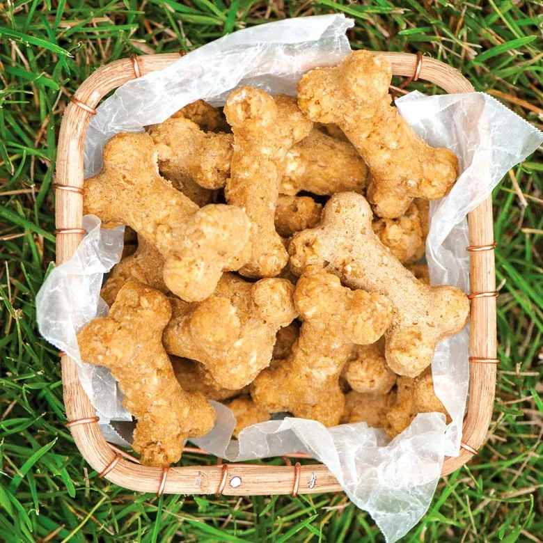 Nordic Ware PUPPY LOVE Dog Treat/Dog Biscuit Non-stick Pan