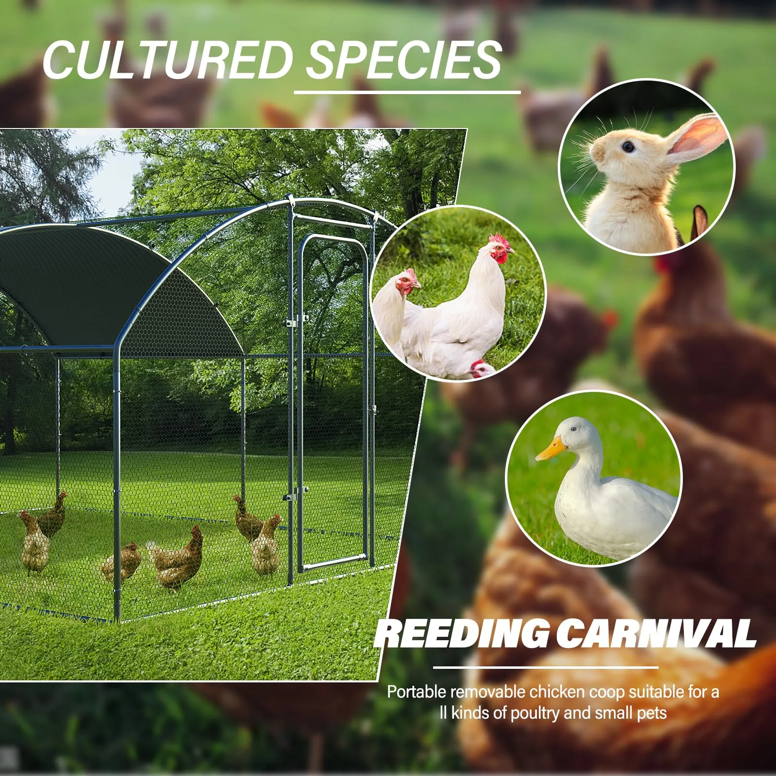 Oranland Chicken Coop Metal Large Chicken Run for Yard Chicken Pen Outdoor Heavy Duty Poultry Cage with Waterproof and Anti-Ultraviolet Cover for Outdoor Farm Use