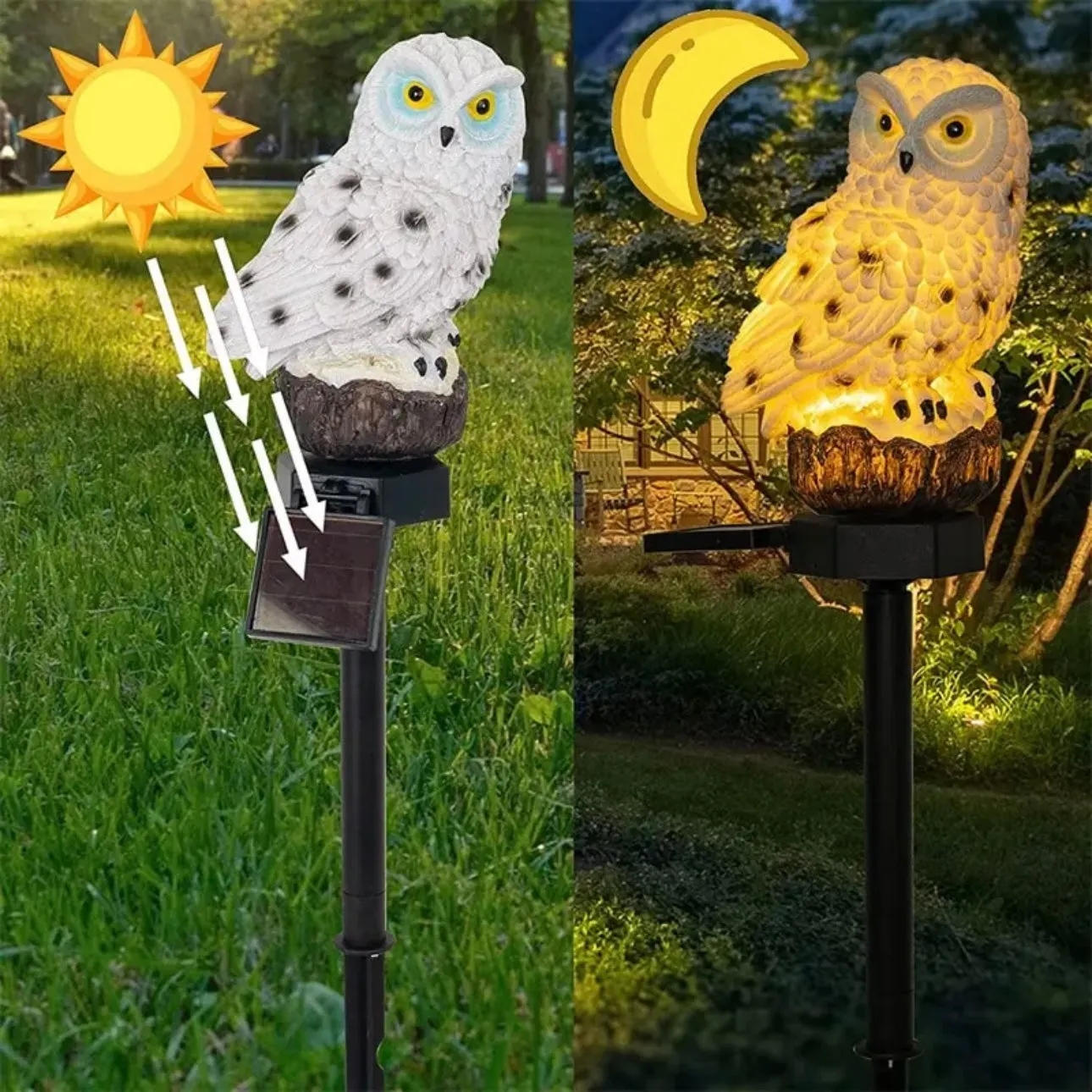 Owl Lamp