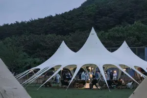 Portable Outdoor Canopy for Comfort and Protection, Waterproof and Easy Setup, Camping and Family Gatherings, Large 289㎡