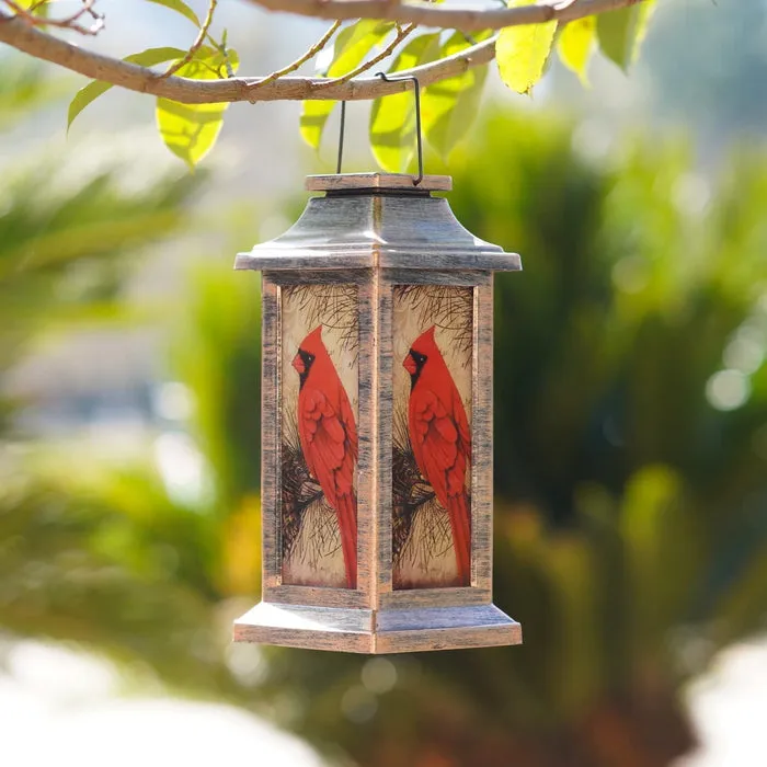 Taavita Charming Cardinal Lantern