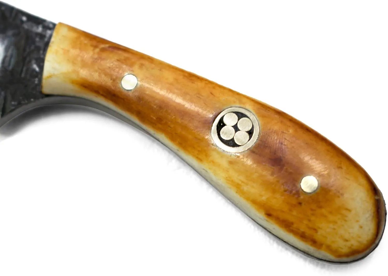 Titan International Knives Carbon 1080 Steel Skinning Utility Knife | Handmade Fixed Blade Color Coated & Hand Pounded | Burnt Bone Handle Perfect for Hunting and Outdoor Camping with Leather sheath