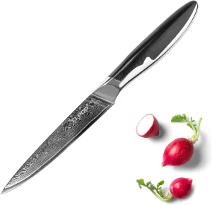 TJ POP Damascus Kitchen Utility Knife 5 Inch, Ultra Sharp Petty Chef Knife, Full-tang Knife, Japanese VG10 Steel Blade, Comfort Grip Non-slip G10 Handle