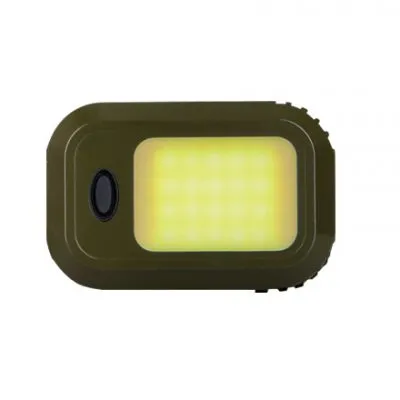 Wild Land Lantern