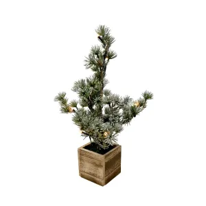 Wood Potted LED Tree